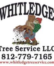 Whitledge Tree Service LLC image 15