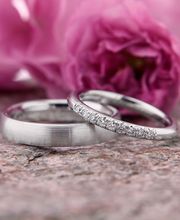 Niederer Pierre-James Bild 11