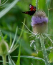 gemeinsam gestalten Bild 1