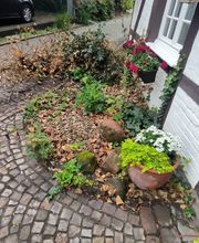 R&T Allround Service GbR Bild 8