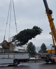 Blumenhaus Feld Bild 4