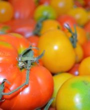 Biohof Schär Matthias & Corinne Bild 6