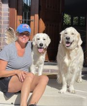 Dog Guard Midwest image 4