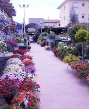garden-arenas-flores-03.jpg