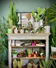 LE COMPTOIR DES FLEURS image 5