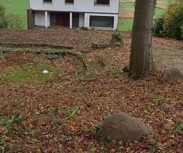Grundstück Rodung Nachher