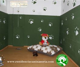 RESIDENCIA CANINA SORIA imagen 13