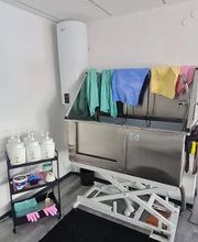 Hundesalon Engstingen Bild 1