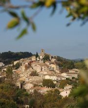 Salvat Margaux image 2