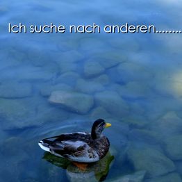 meine-eigene-weiterentwicklung.de