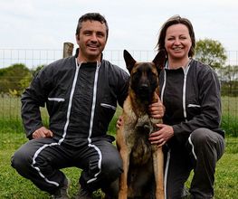 Cani-breizh image 1