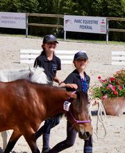 Les Poneys de Monthoiron image 2