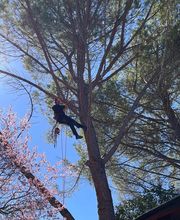 THILL SEBASTIEN image 5