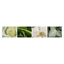 s Bluemelädeli Mumenthaler