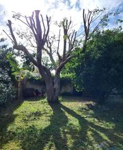 Renard Dianni image 12