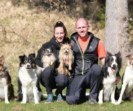 Dogs Adventure GmbH Bild 8