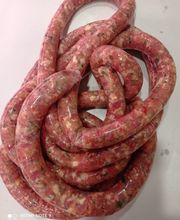 Gallery Professionale