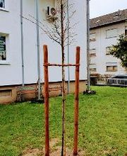 Michel Service Solution Bild 12