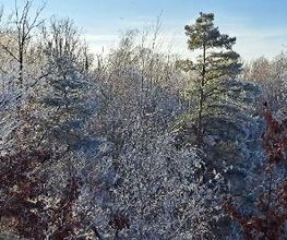 Winter am Steinbruch Haselberg