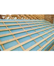 Bellon Daniel image 4