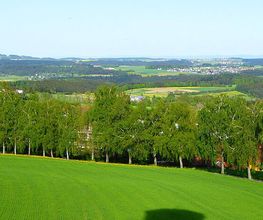 Gästehaus Schaber Bild 3
