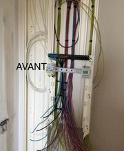 EI - Fau Ludovic image 5