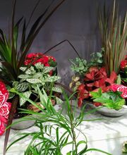 Floristería Imabel imagen 19
