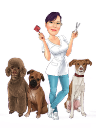 Sandras Hundesalon