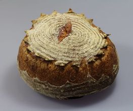 Boulangerie confiserie Parrat Bild 8