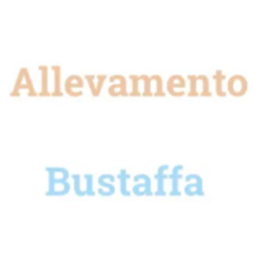Allevamento Bustaffa logo