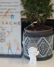 Hauptsache D.K. Bild 6