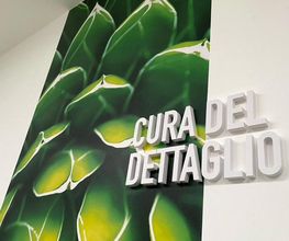 Gallery Cliente