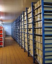 Delta Froid 21 image 2