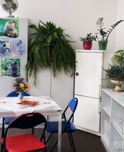 Autoschilder & Zulassungen STK Chemnitz Bild 1