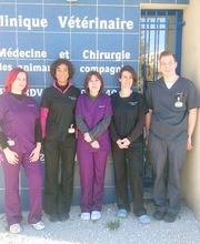 Clinique Vétérinaire de Montfavet image 4