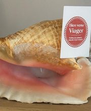 Bien Venu Viager image 11