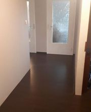 M.T Macht´s Toll Bild 19