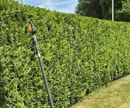 Herr Gartenbau GmbH Bild 1