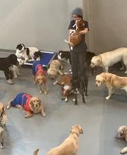 Westwood Regional Veterinary Hospital image 11