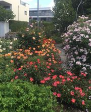 t & t André Tanner Bild 3