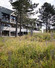 Naturag Gartenbau AG Bild 9