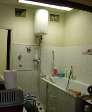 Aline Toilettage image 7