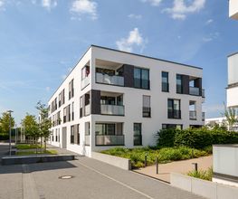 AGM Gipser & Maler GmbH Bild 6