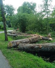 Nature Domestiquee image 12