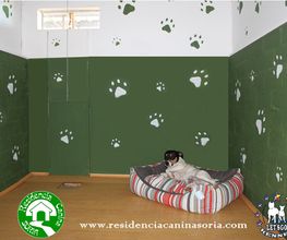 RESIDENCIA CANINA SORIA imagen 6