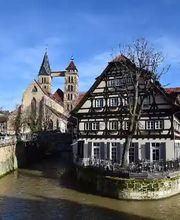 PIRMINIUS ® Schädlingsbekämpfung Bild 2