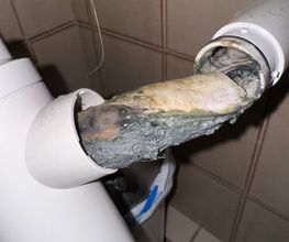 Ablauf-Reinigungs-Dienst Brodbeck GmbH Bild 2