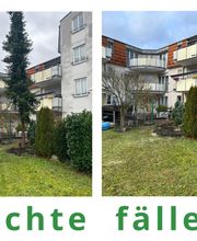Baum fällen