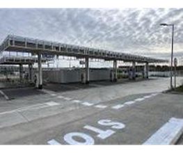 Wenea imagen 1