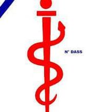 Nirina Torlotting image 3